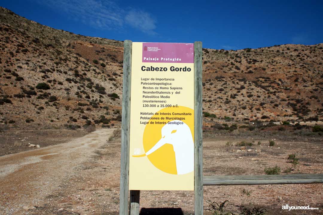 el-cabezo-gordo-en-torre-pacheco-yacimiento-arqueol-gico-all-you